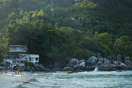 People Near Seashore thumbnail