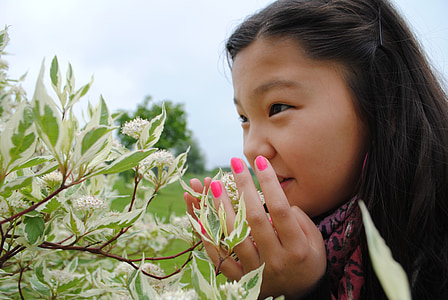 girl smelling white cluster flowers during daytime thumbnail
