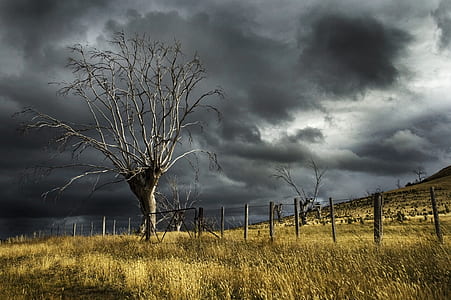landscape, nature, clouds, cloudy thumbnail