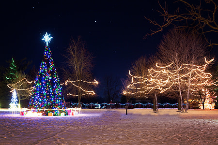 Christmas themed park under the night sky thumbnail