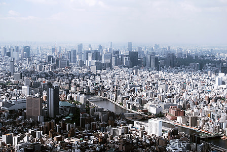 Expansive Tokyo metropolis with buildings, towers, and cityscape, in Japan thumbnail