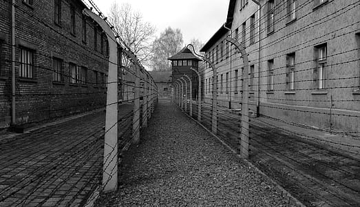grayscale photo of barbwire pathway thumbnail