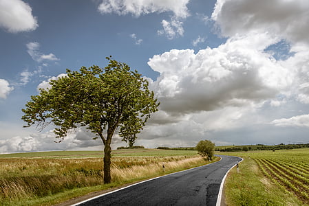 empty gray asphalt road between bushes under gray sky druing daytime thumbnail