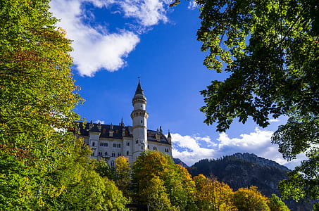 white and blue concrete castle near forest thumbnail