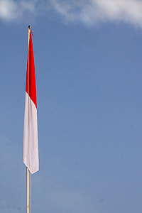 white and red flag mounted in pole under clear blue sky thumbnail