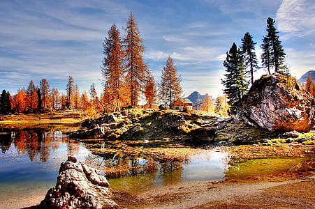 reflections photography of tall tree near boulder and body of water under cirrus clouds thumbnail