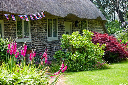flowers beside house thumbnail