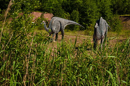 two gray dinosaurs near grasses thumbnail