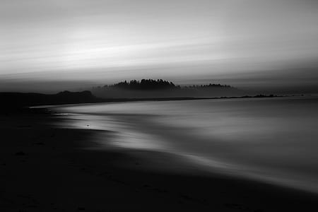 sea, forest, black and white, water thumbnail