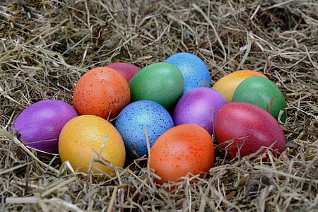 assorted Easter eggs on nest thumbnail