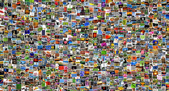 collage of photos thumbnail