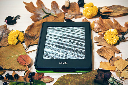black Amazon Kindle E-Book reader surrounded by dried leafed thumbnail