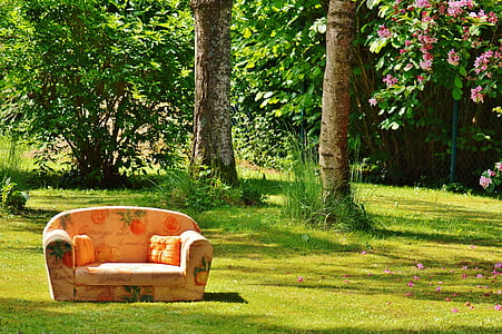 pink sofa on grass field thumbnail