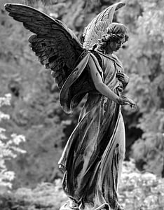 closeup photo of angle statue thumbnail