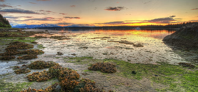 sunset over the horizon thumbnail