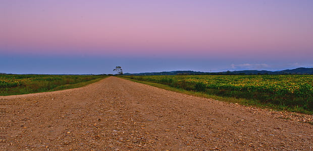 rocky road between green grass at daytime thumbnail