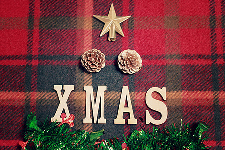 X Mas, christmas tree star, and two pinecones thumbnail