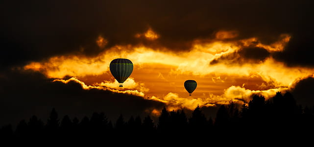 light, flight, dawn, landscape thumbnail