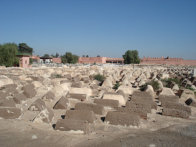 photograph of concrete structures and trees thumbnail