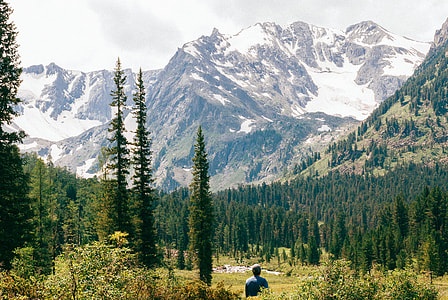 person standing near trees while looking at snow capped mountain thumbnail
