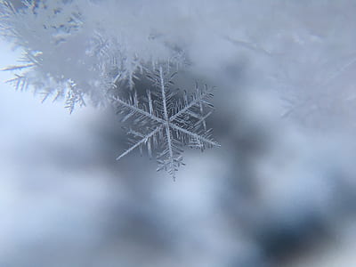 macro photo of snowflake thumbnail
