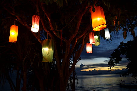 paper lanterns thumbnail