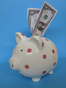 pink and white polka-dot piggy bank on blue surface thumbnail