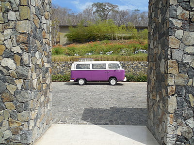 white and purple Volkswagen T2 van parked on concrete pavement near flowers during daytime thumbnail