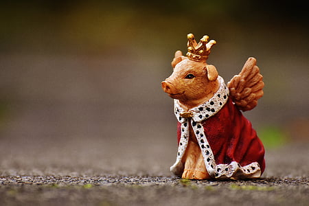selective photography of king pig figurine thumbnail