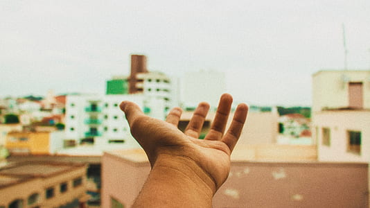 selective focus photo of left human palm thumbnail