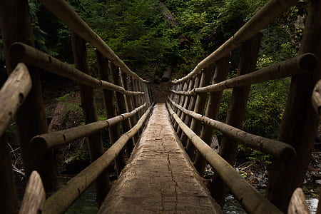 brown wooden bridge thumbnail