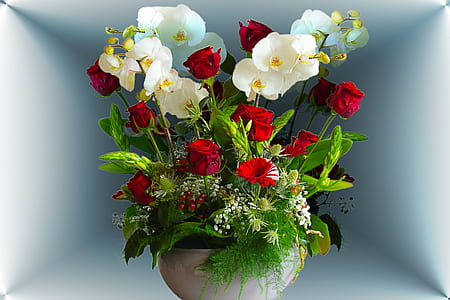 flower arrangement, rose, margriet, flowers, creative, plant thumbnail