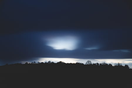 silhouette of trees photo during nighttime thumbnail