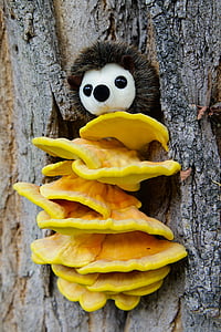 yellow mushrooms thumbnail