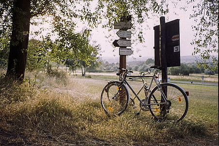 gray road bike stands near two brown wooden signages on green grass at daytime thumbnail