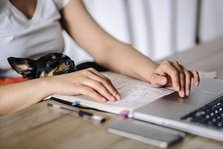 Woman working on her laptop with her dog thumbnail