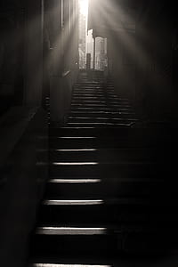 low angle photography of stairs thumbnail