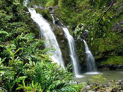 waterfalls surrounded by trees and grasses thumbnail