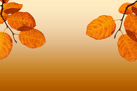 brown leaf decor thumbnail