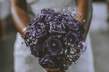 Bride Holding Bouquet of Purple Flowers thumbnail