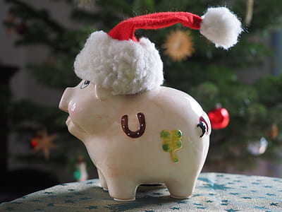 white piggy bank with Santa Claus hat on grey surface thumbnail
