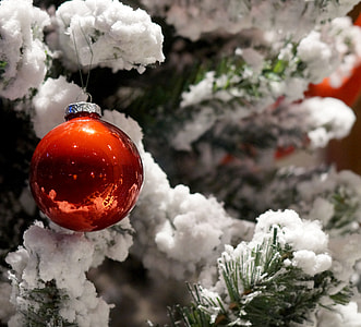 closeup photo of Christmas tree and red bauble thumbnail
