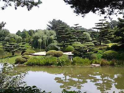 green leafed trees thumbnail