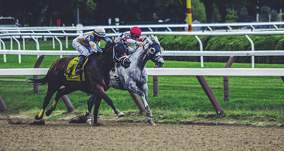 two men having a horse race during daytime thumbnail