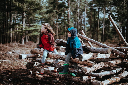 girl and boy sitting on wood logs near trees thumbnail
