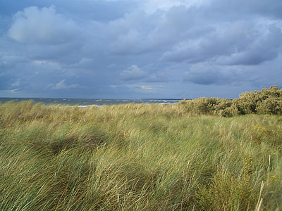 green grass field thumbnail