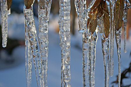 ice, ice age, icicle, winter, cold, snow thumbnail