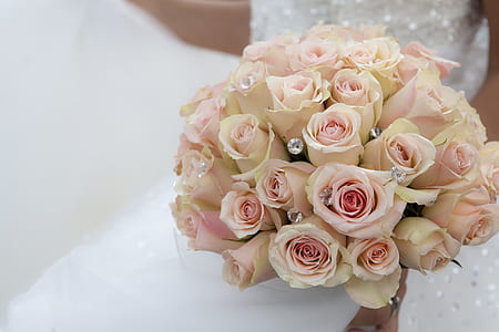 woman, flowers, petals, white thumbnail