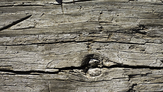 close view of wooden wall thumbnail