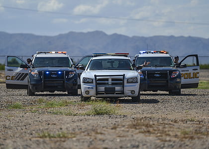 two black and one white police cars outdoors under gray skies thumbnail